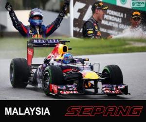 yapboz Sebastian Vettel Grand Prix Malezya 2013 yılında zaferi kutluyor